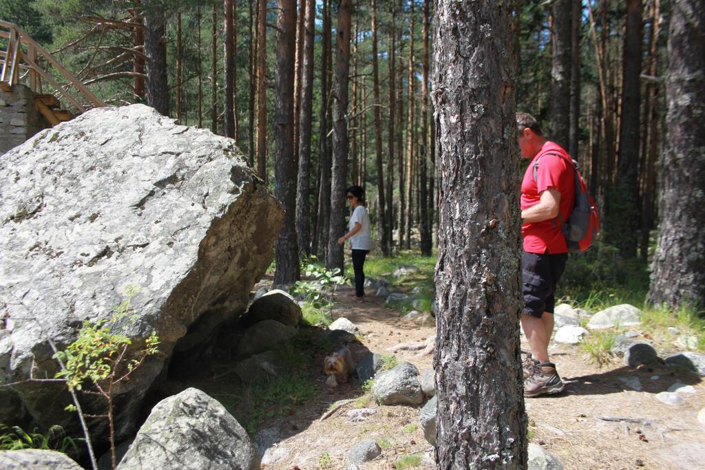 The Stone Villa Beli Iskar Exteriör bild