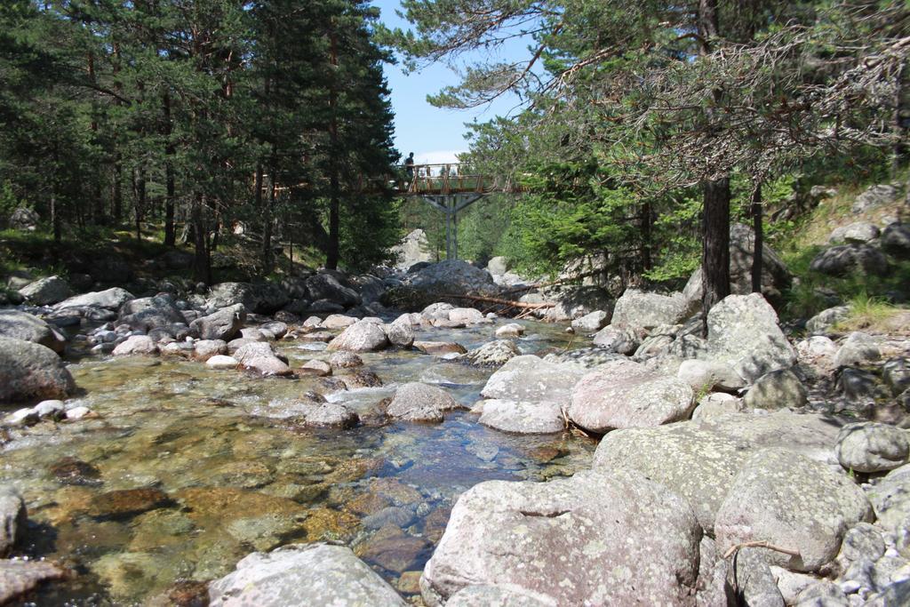 The Stone Villa Beli Iskar Exteriör bild