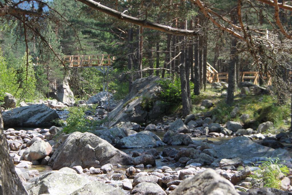 The Stone Villa Beli Iskar Exteriör bild
