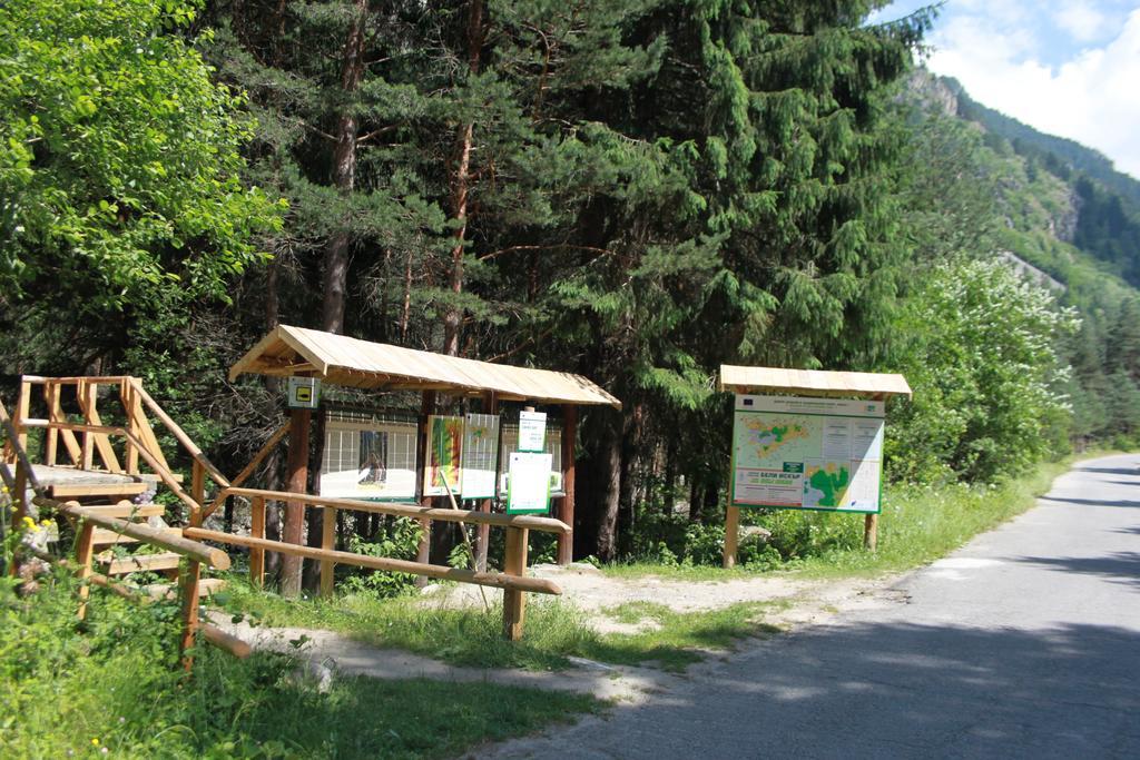 The Stone Villa Beli Iskar Exteriör bild
