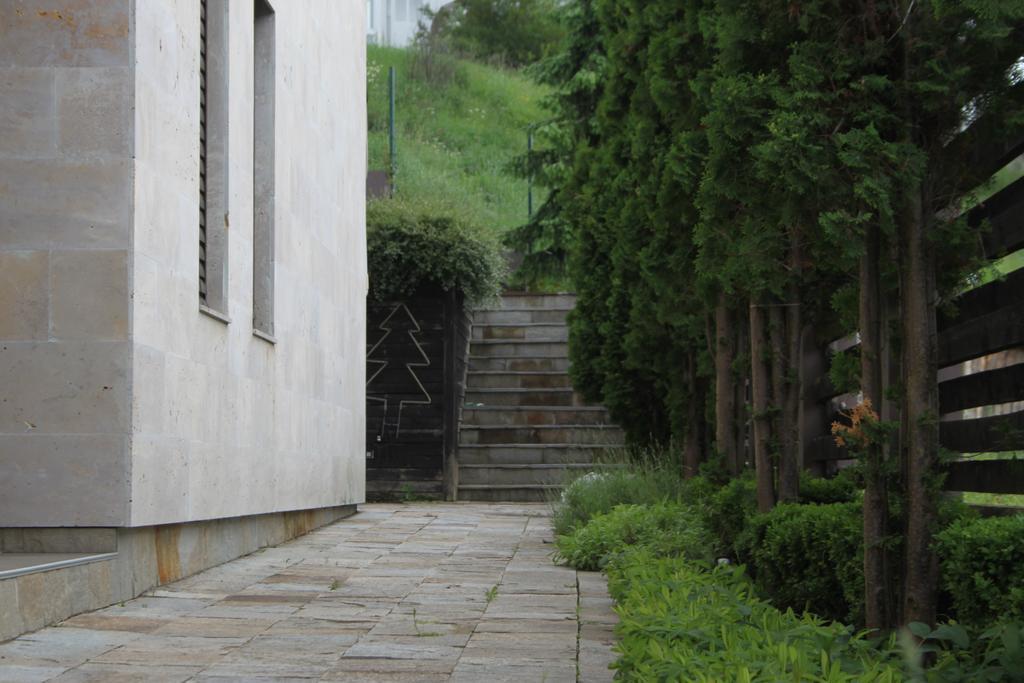 The Stone Villa Beli Iskar Exteriör bild