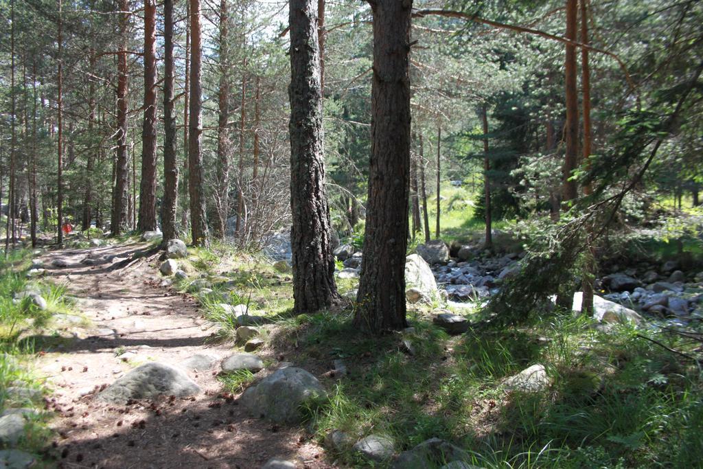 The Stone Villa Beli Iskar Exteriör bild